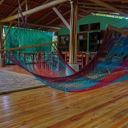 Hospedaje El Bosquecito Uvita Luaran gambar