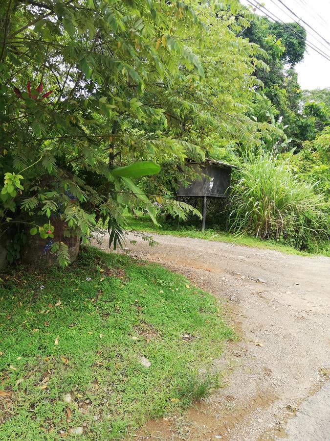 Hospedaje El Bosquecito Uvita Luaran gambar