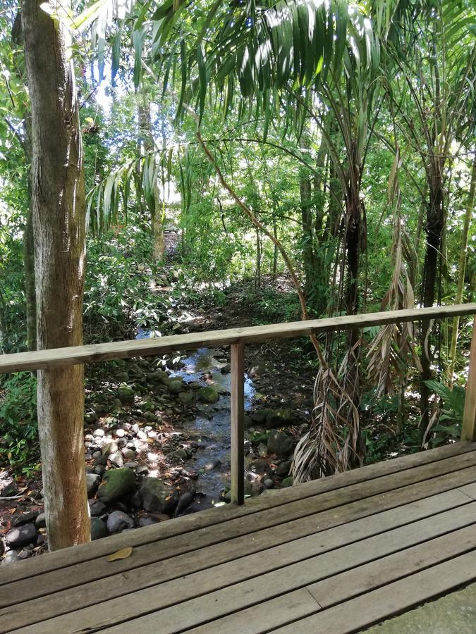 Hospedaje El Bosquecito Uvita Luaran gambar