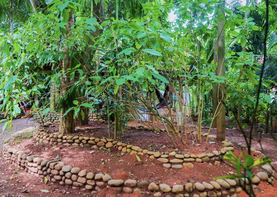 Hospedaje El Bosquecito Uvita Luaran gambar