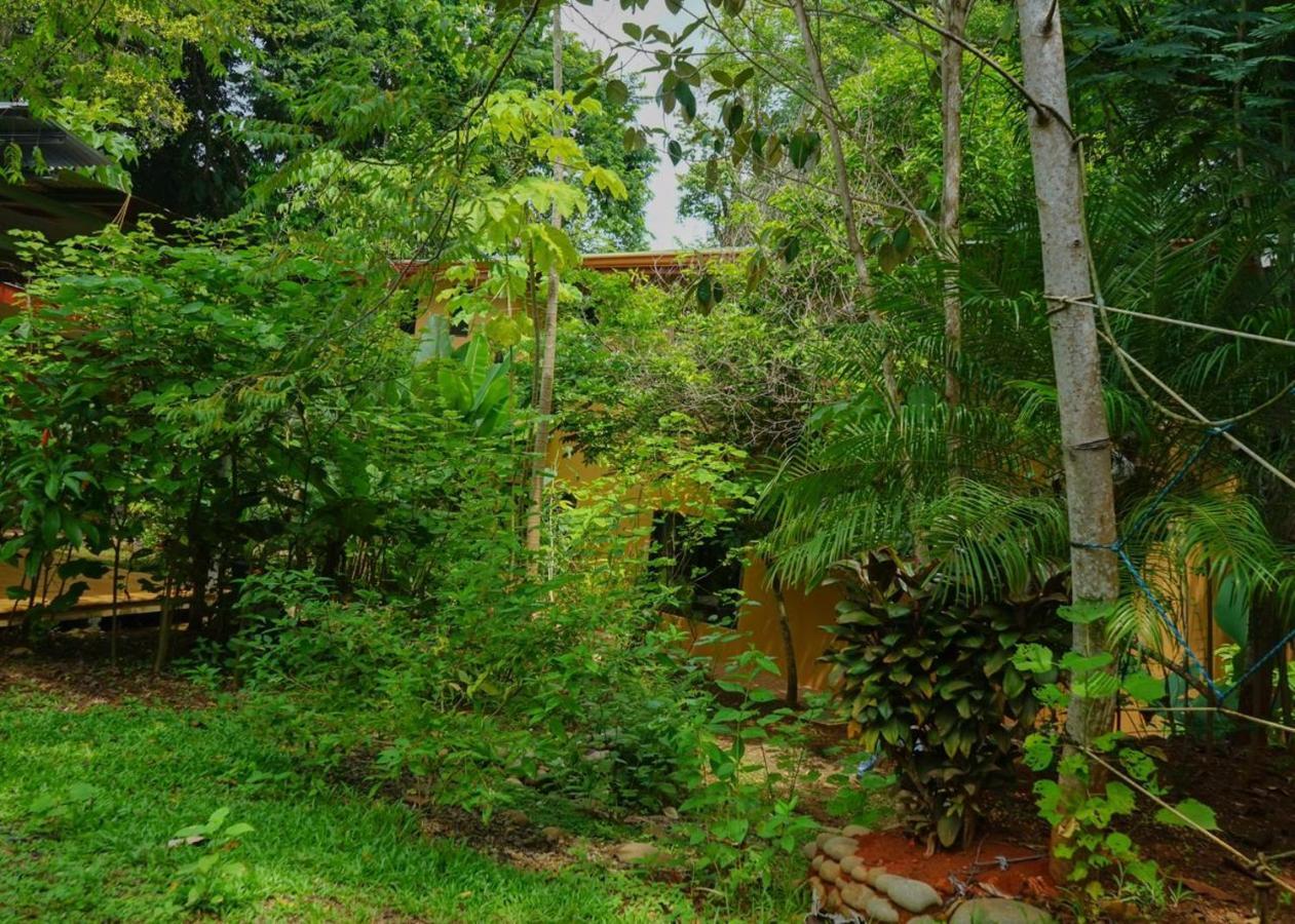 Hospedaje El Bosquecito Uvita Luaran gambar