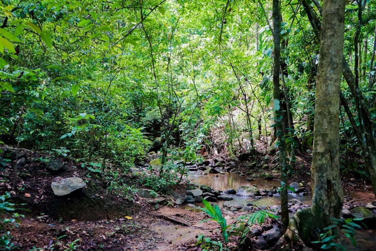 Hospedaje El Bosquecito Uvita Luaran gambar