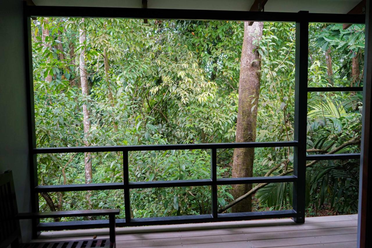 Hospedaje El Bosquecito Uvita Luaran gambar