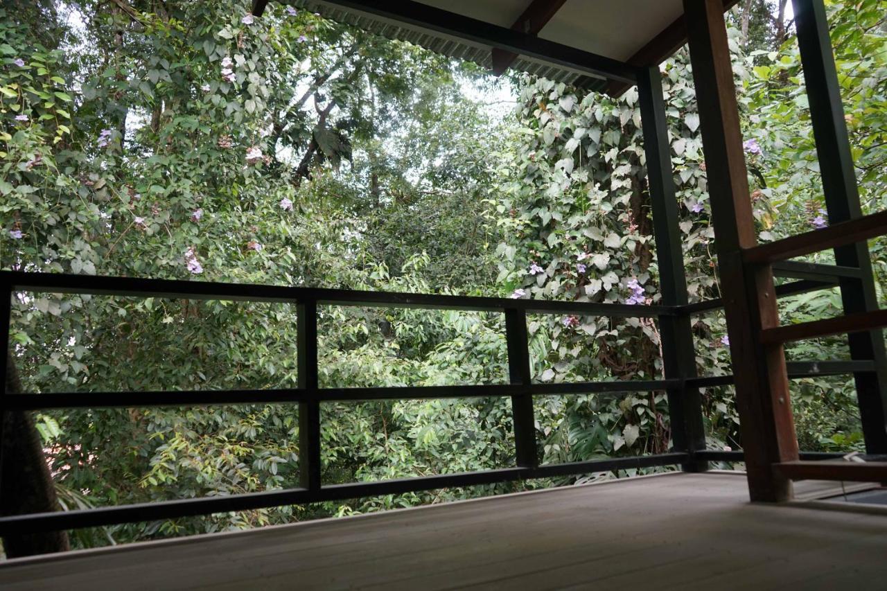 Hospedaje El Bosquecito Uvita Luaran gambar